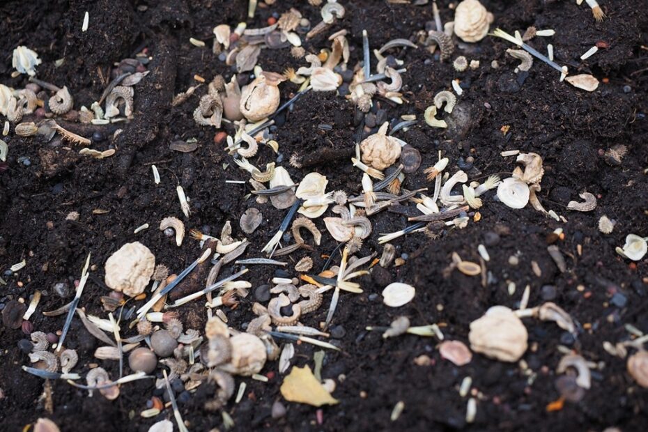 sekrety udanej uprawy