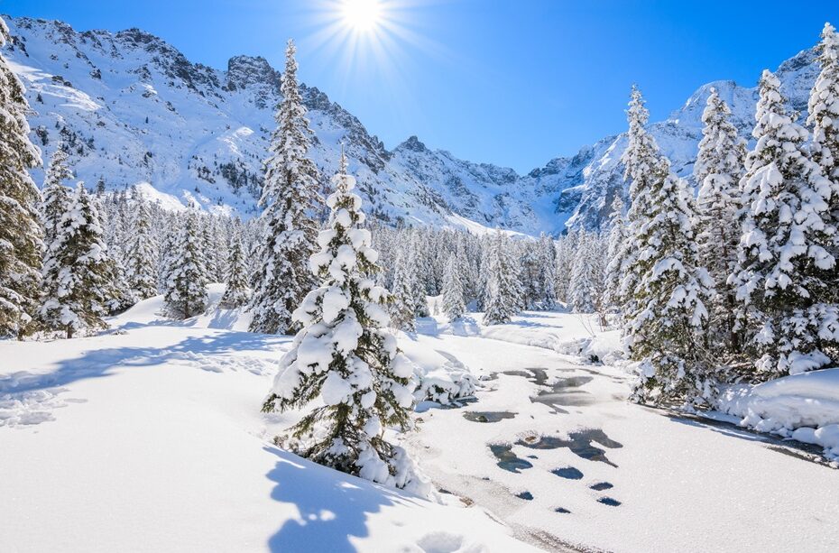 apartament w Zakopanem