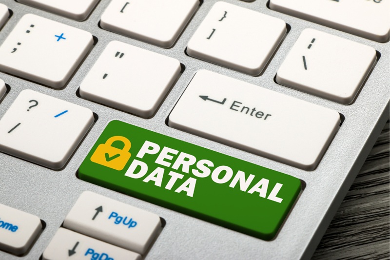 marketing - seo wilk niebieski