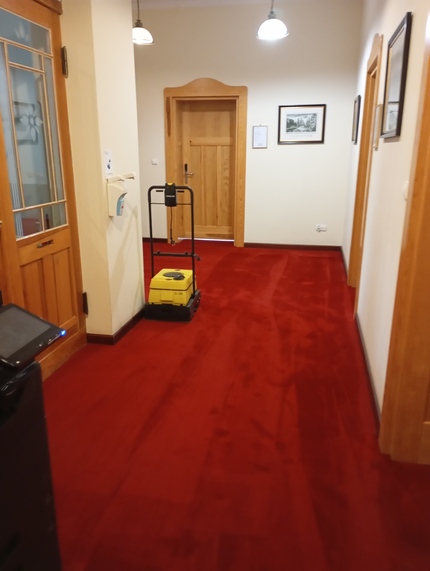 Pranie wykładzin Trójmiasto